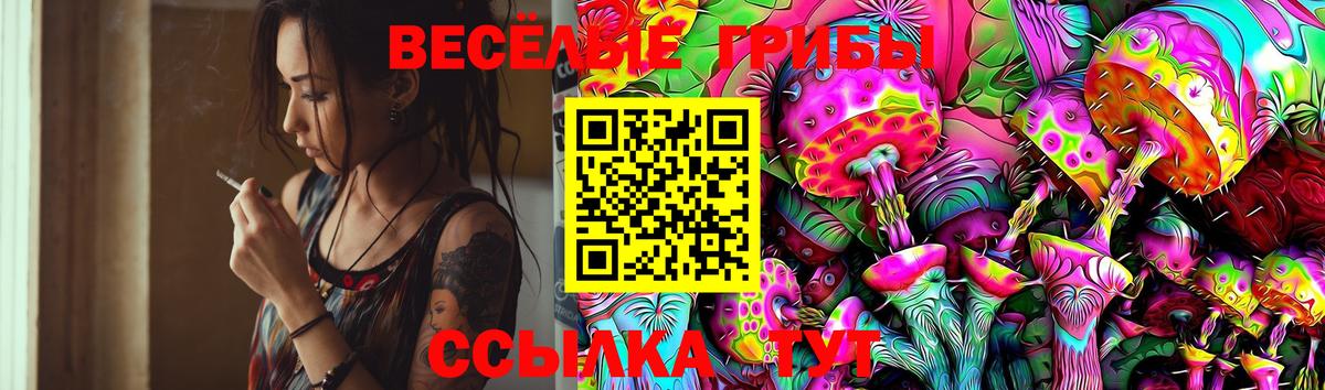 Псилоцибиновые грибы Psilocybe  Вход с VPN  Холмск 